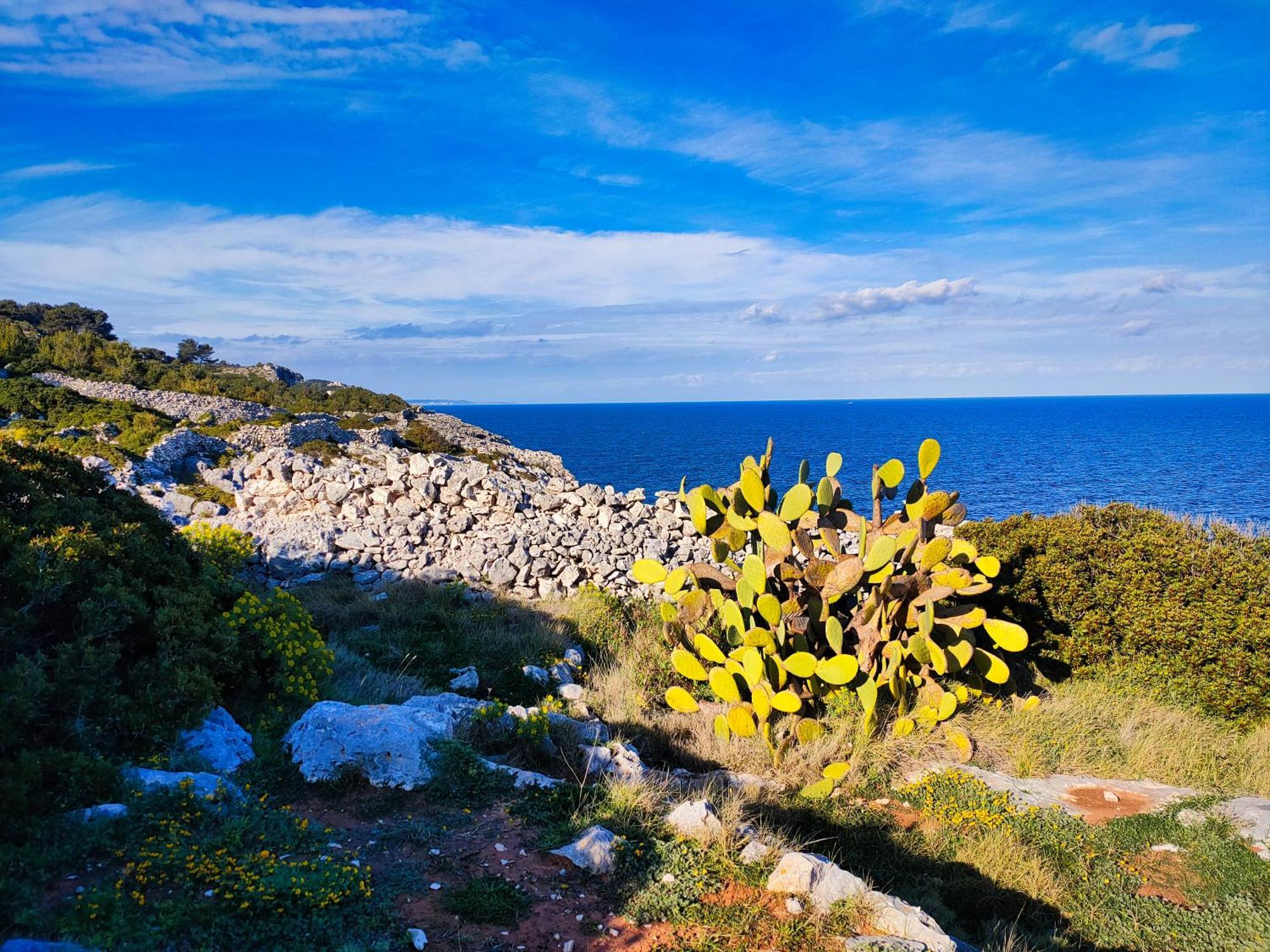 La Caura Di Casa Camilla Journey Διαμέρισμα Marina Serra Εξωτερικό φωτογραφία